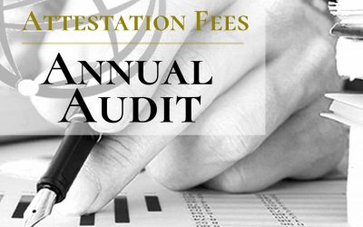 annual audit 1