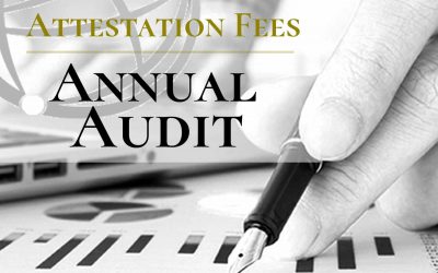 annual audit 2